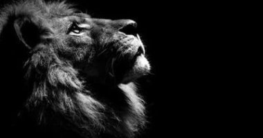 The Most Powerful Trait in Crisis Management: Acceptance