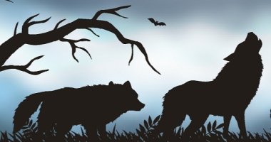 Agile Crisis Management Teams
