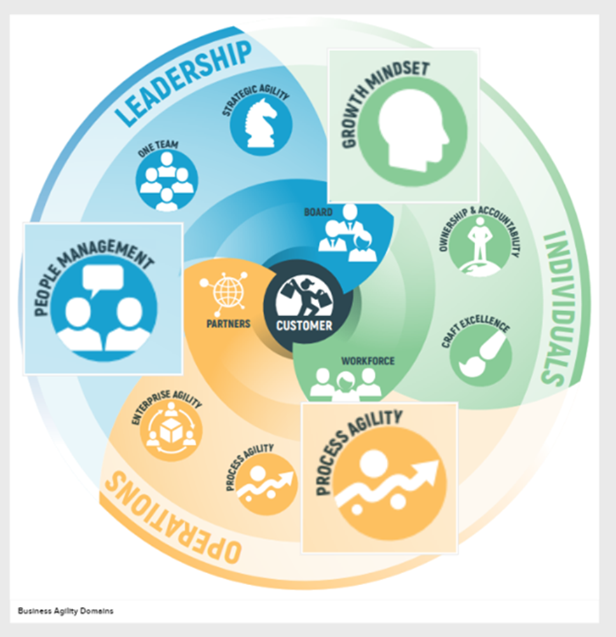 Business Agility Institute wheel