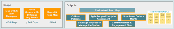 agility maturity analysis