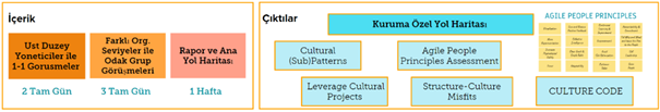 ÇEVİKLİK OLGUNLUK ANALİZİ