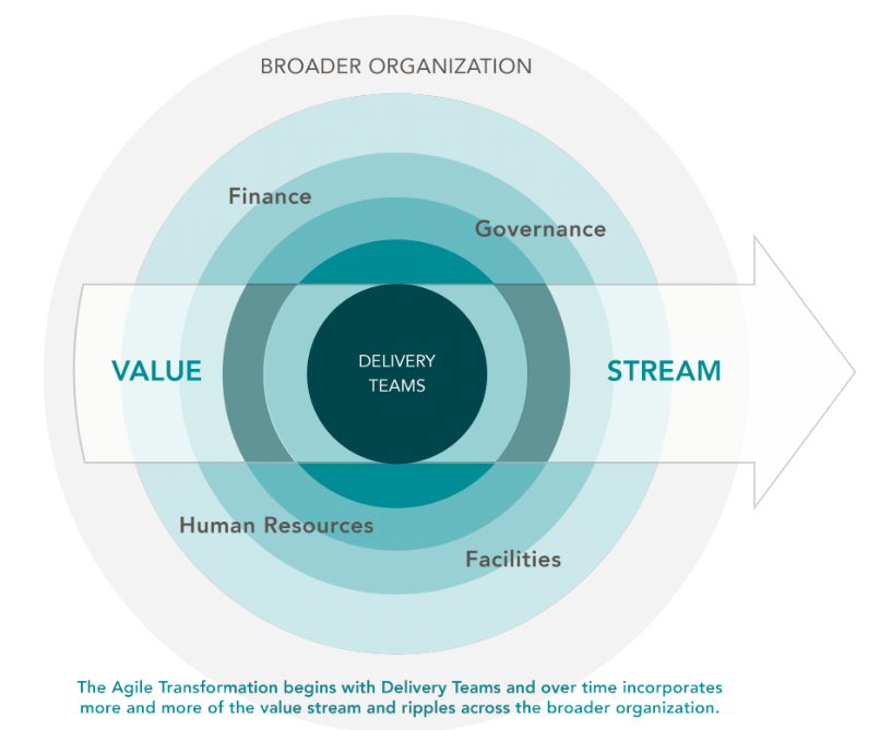 yonetimdeagile