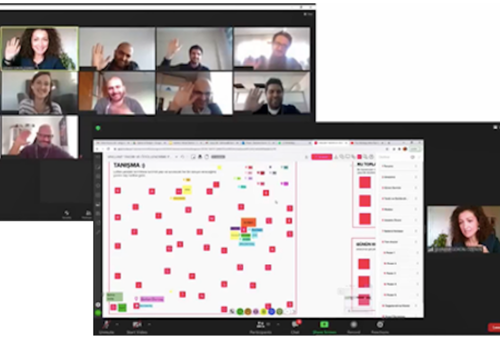 VAILLANT GROUP TR PROJECT CHANGE FACILITATION